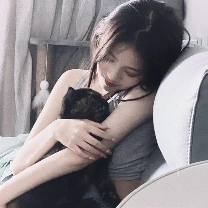 滑稽夫人 在线观看