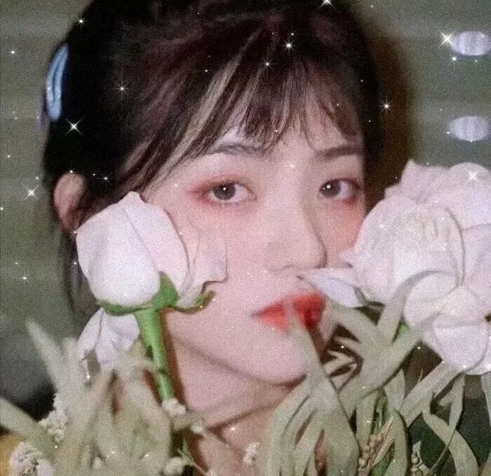 悲密 在线观看
