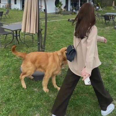 杀手猴 在线观看